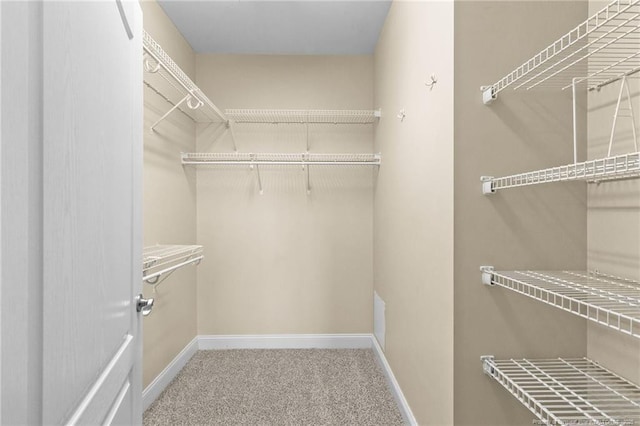 spacious closet featuring carpet floors