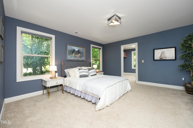 156 Stoney Creek Way, Chapel Hill, NC 27517 - photo 29