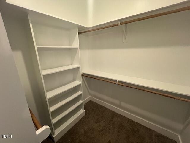 spacious closet with dark carpet