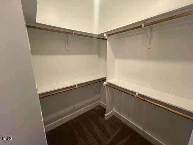 spacious closet featuring dark carpet