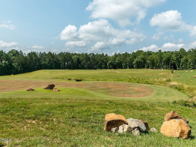 view of home's community with a lawn