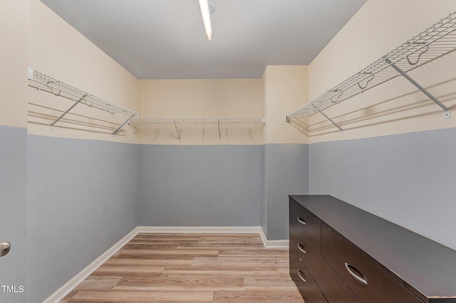 walk in closet with light wood finished floors