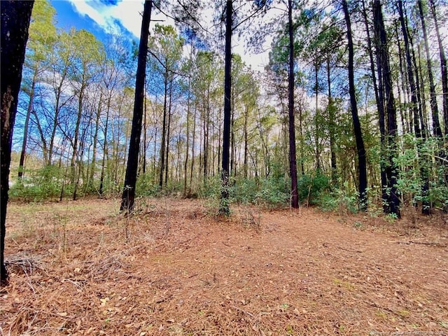 view of landscape with a wooded view