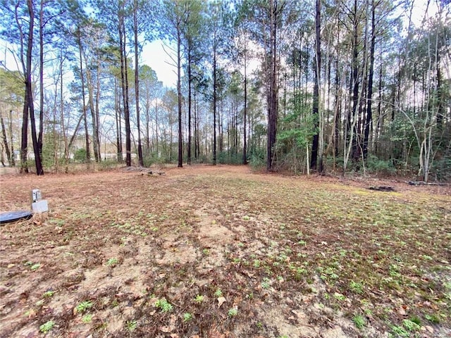 view of yard featuring a forest view