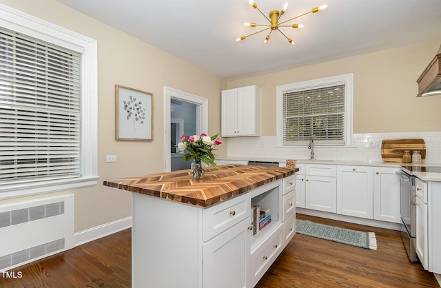 kitchen featuring radiator, stainless steel range with electric stovetop, butcher block counters, and dark wood-style flooring