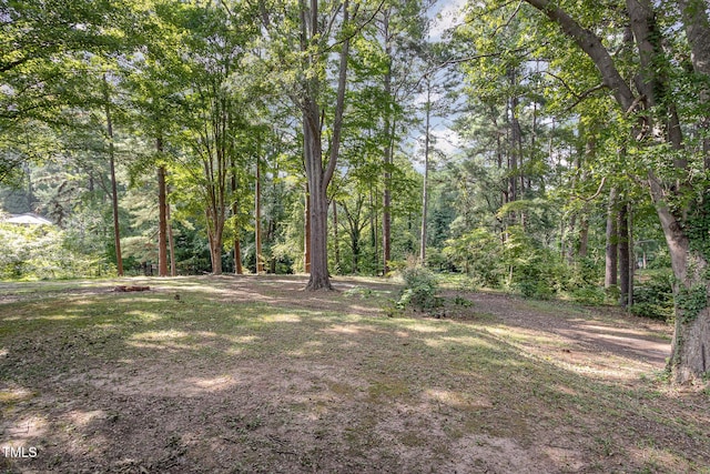 view of yard featuring a wooded view