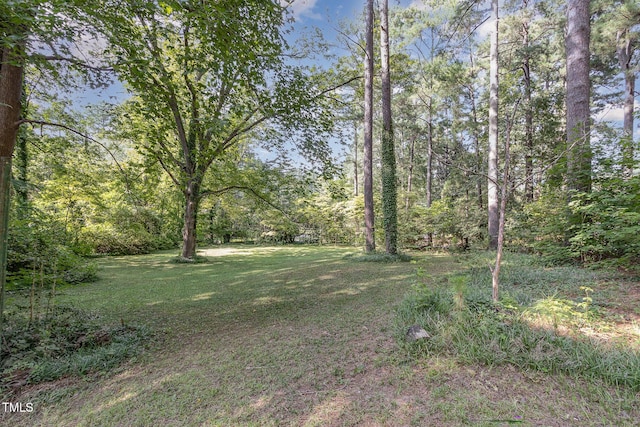 view of yard featuring a forest view