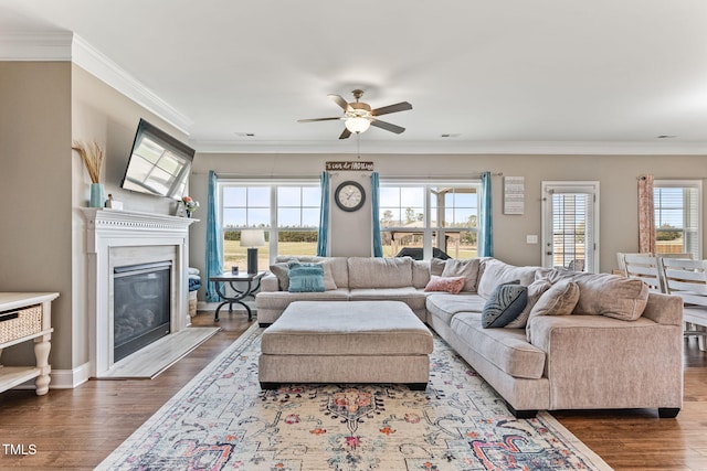 living area featuring ceiling fan, ornamental molding, wood finished floors, and a glass covered fireplace