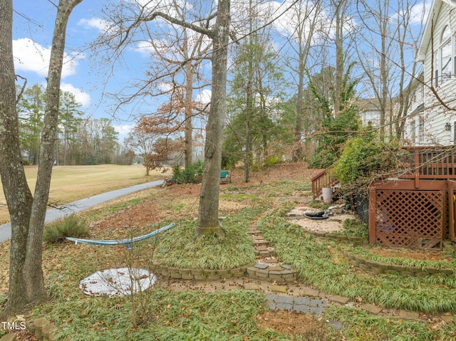 view of yard featuring a deck