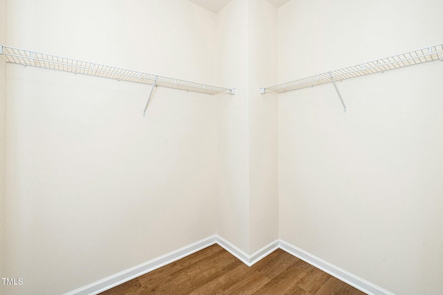 walk in closet featuring wood finished floors