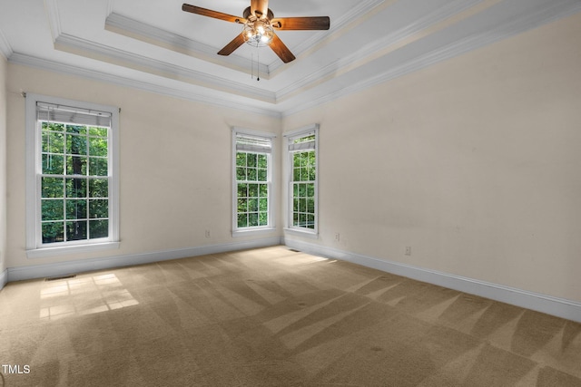 spare room featuring carpet, baseboards, plenty of natural light, and a tray ceiling