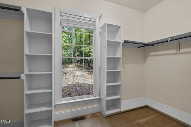 spacious closet with carpet and visible vents