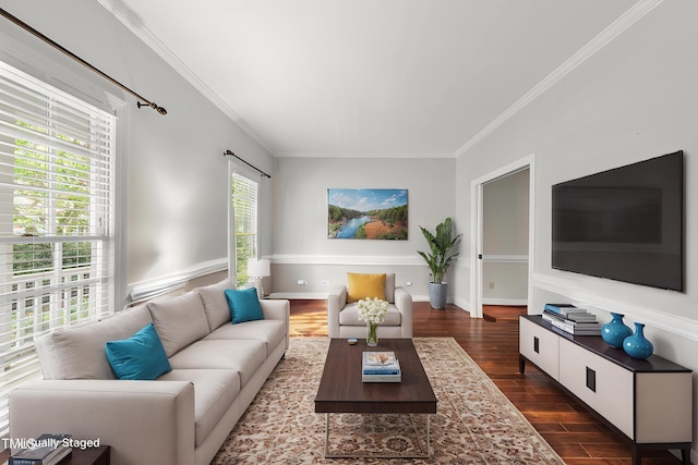 living area with dark wood-style flooring and ornamental molding