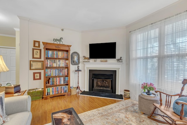 living room featuring a fireplace with raised hearth, ornamental molding, and wood finished floors