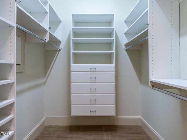 view of spacious closet