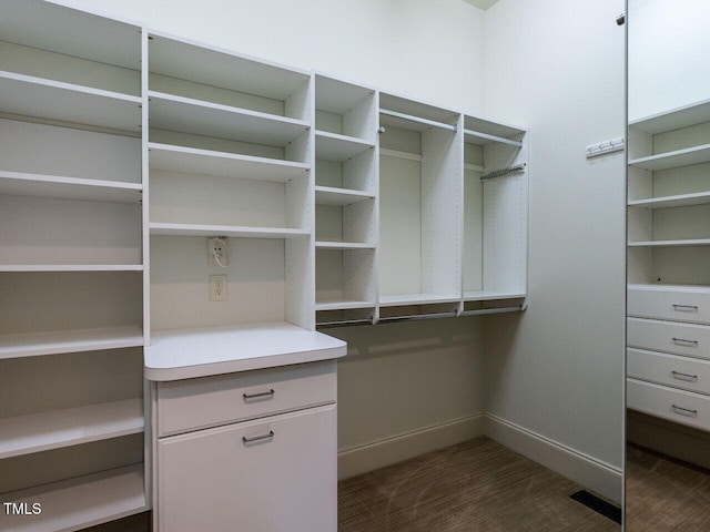 view of walk in closet