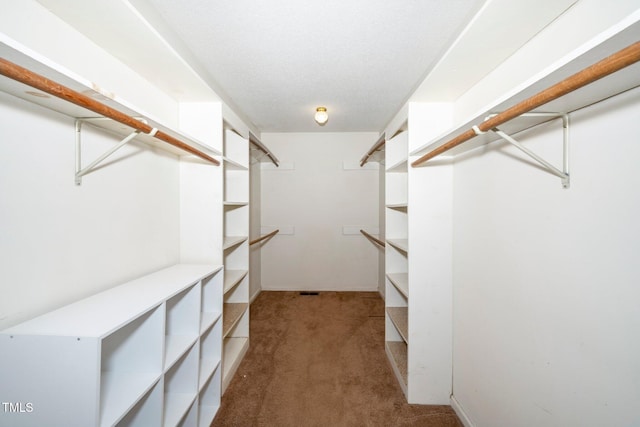 walk in closet featuring carpet