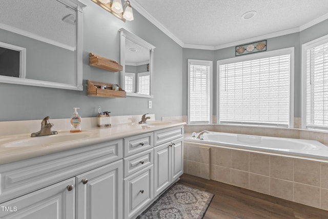 bathroom featuring a sink, wood finished floors, and ornamental molding