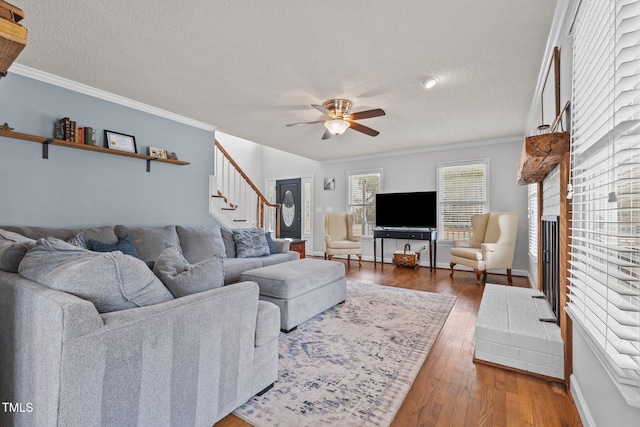 living room featuring hardwood / wood-style floors, ceiling fan, stairs, a textured ceiling, and crown molding