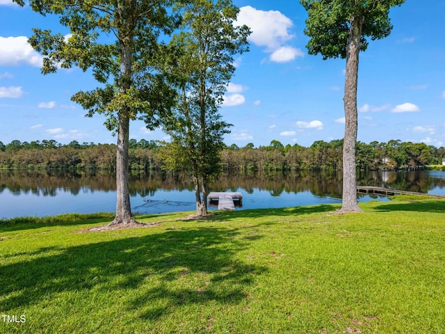 309 Shoreline Dr, Princeton, NC 27569 - water view