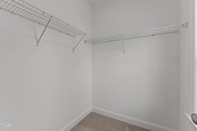 25 Arbor Dr, Youngsville, NC 27596 - walk in closet featuring carpet flooring