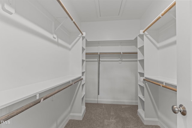 25 Arbor Dr, Youngsville, NC 27596 - walk in closet featuring carpet floors