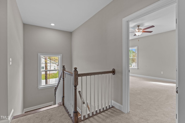 25 Arbor Dr, Youngsville, NC 27596 - staircase featuring carpet floors, baseboards, and a ceiling fan