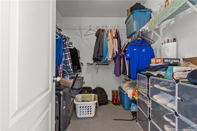 walk in closet with carpet floors