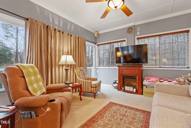 carpeted living area featuring plenty of natural light, ceiling fan, a fireplace, and ornamental molding