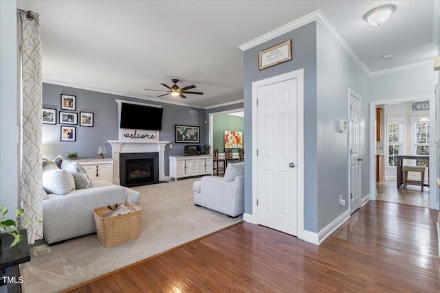 living room featuring crown molding, wood-type flooring, a fireplace with flush hearth, ceiling fan, and baseboards