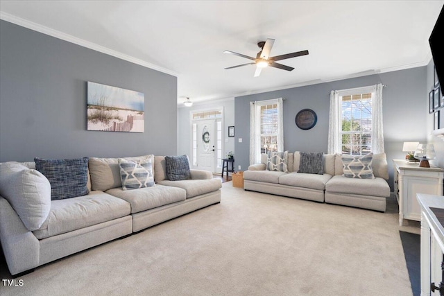 carpeted living room with ceiling fan and crown molding