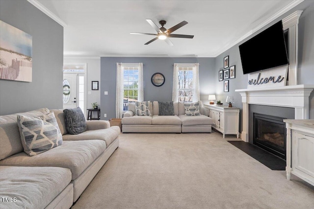 carpeted living area with a fireplace with flush hearth, crown molding, and ceiling fan