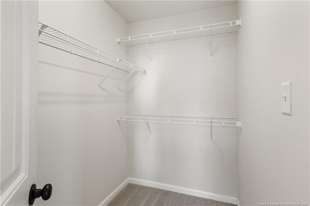 walk in closet with carpet