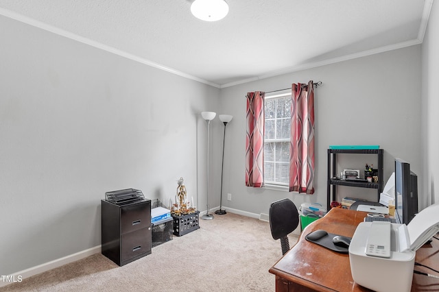 office with carpet floors, ornamental molding, and baseboards