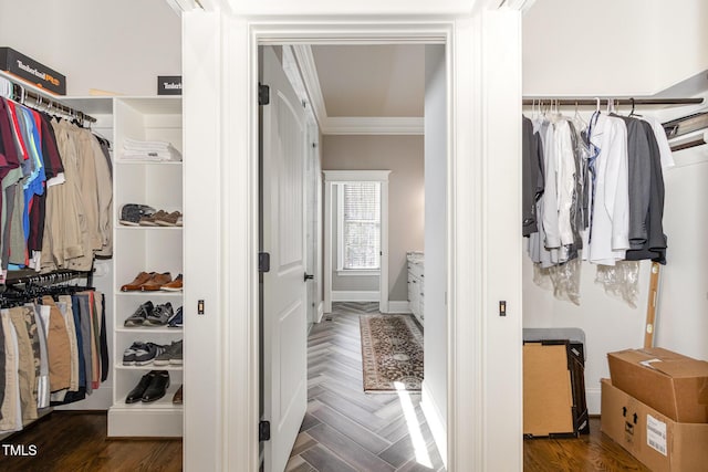 view of spacious closet