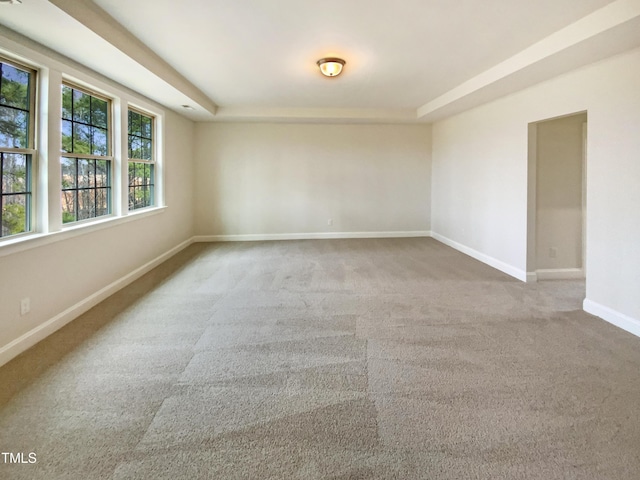 unfurnished room featuring a tray ceiling, carpet, and baseboards