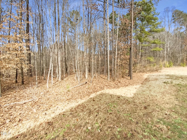 view of local wilderness with a wooded view