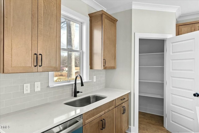 kitchen with plenty of natural light, backsplash, a sink, and light countertops