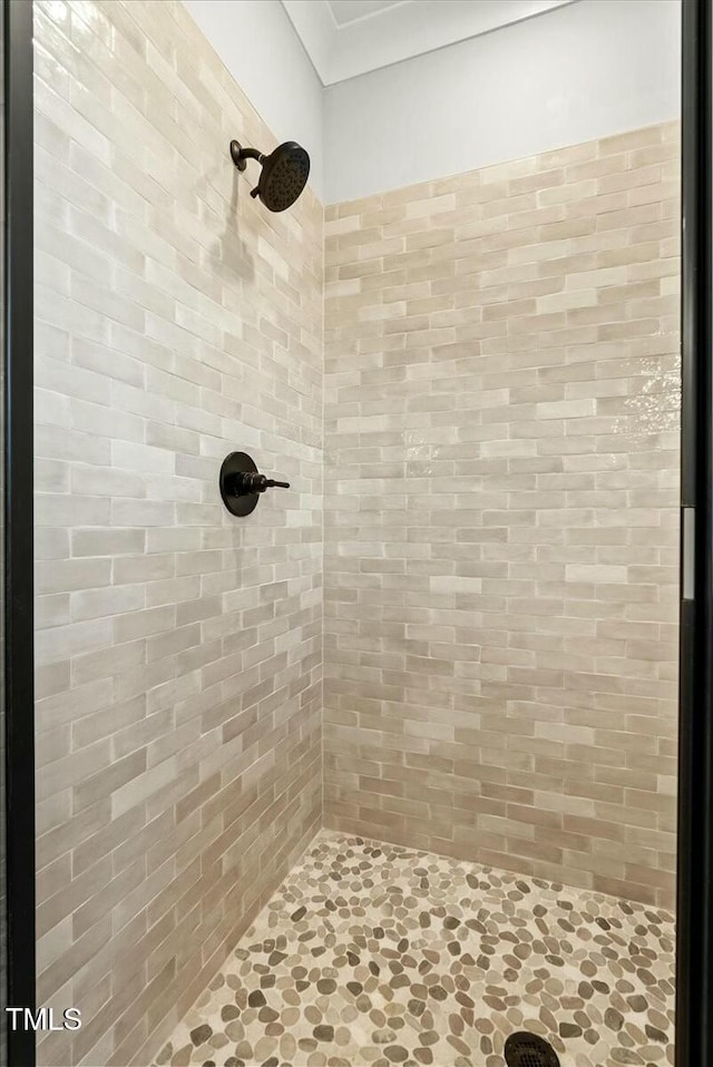 full bath with tiled shower