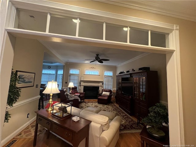 living room featuring ceiling fan, a fireplace, crown molding, and wood finished floors