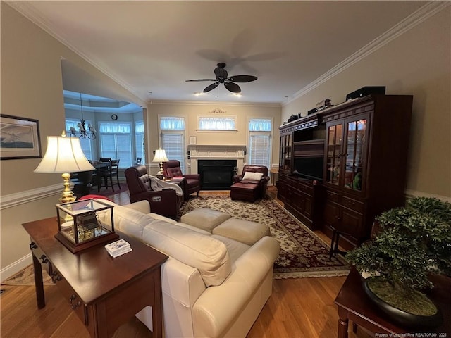 living room with ceiling fan with notable chandelier, wood finished floors, baseboards, a glass covered fireplace, and crown molding