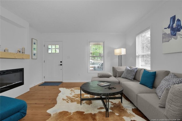 living room with baseboards, ornamental molding, wood finished floors, and a glass covered fireplace