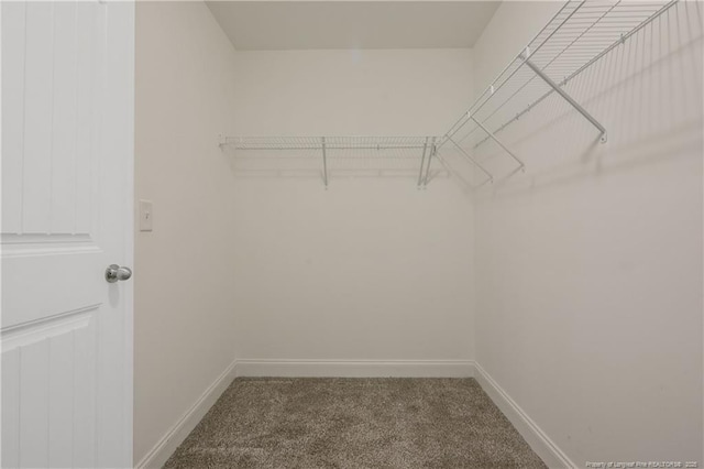 387 Springhaven Dr, Raeford, NC 28376 - walk in closet featuring carpet floors