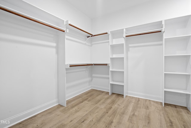 walk in closet featuring wood finished floors