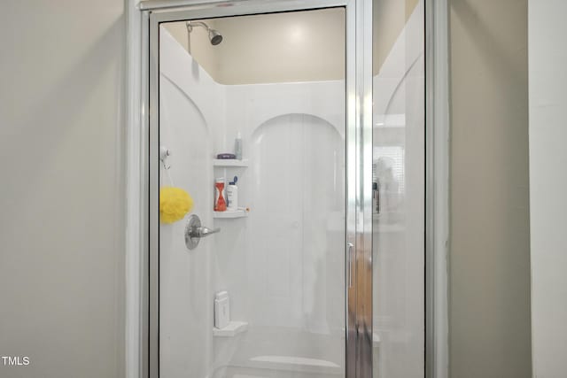 bathroom featuring a shower stall