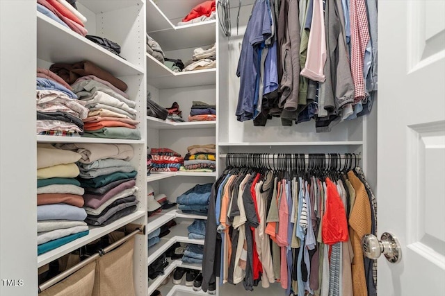 view of spacious closet