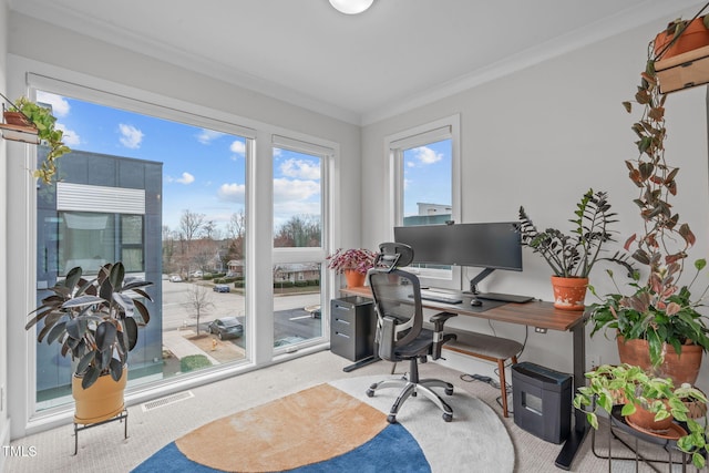 carpeted office with visible vents and ornamental molding