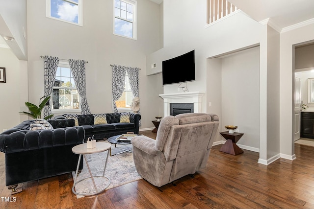 living area featuring ornamental molding, a fireplace, wood finished floors, and baseboards