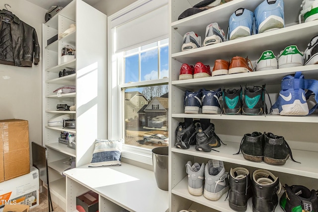 view of spacious closet