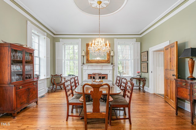 dining room featuring ornamental molding, light wood finished floors, and a healthy amount of sunlight